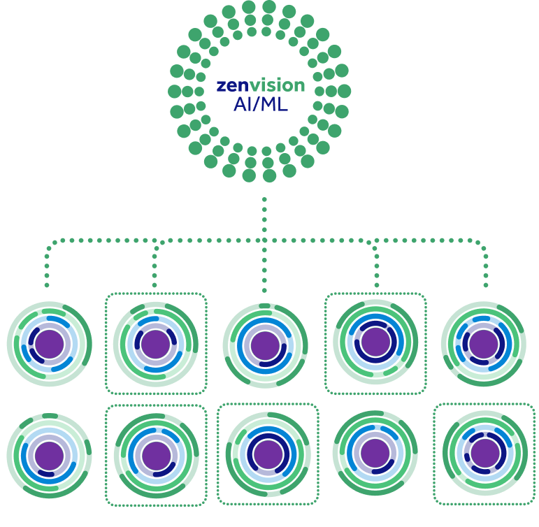 Zenvision diagram